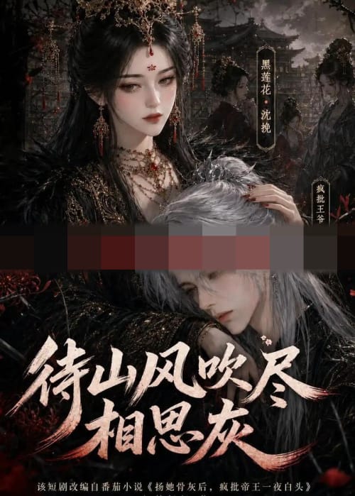 待山风吹尽相思灰（112集全）动漫-紫橙资源网