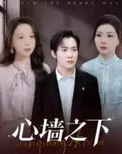 心墙之下（43集全）赵宏甲＆郑抒淼-紫橙资源网
