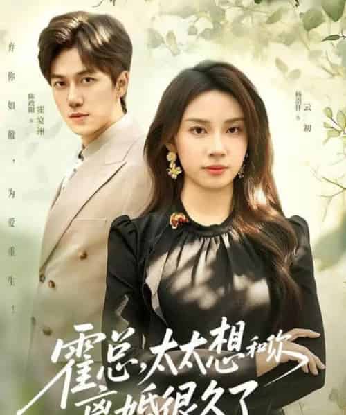 霍总,太太想和你离婚很久了(80集全)陈政阳&杨洛仟-紫橙资源网