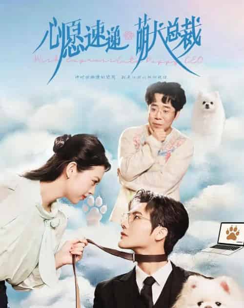 心愿速递之萌犬总裁(50集全)蓝曦鹿&蒋辰瑞-紫橙资源网