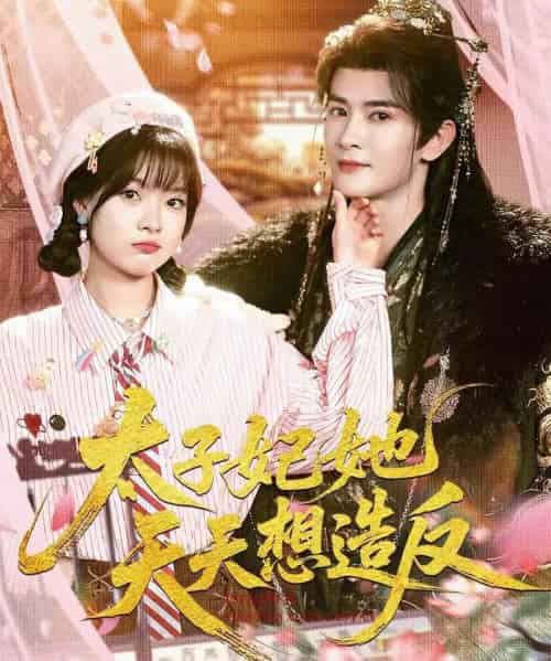 太子妃她天天想造反（89集全）陈冠峄＆杨帆-紫橙资源网