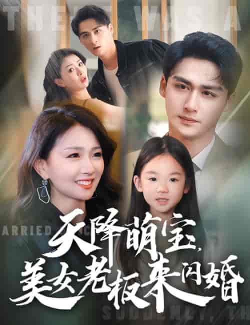 天降萌宝美女老板来闪婚（80集全）-紫橙资源网