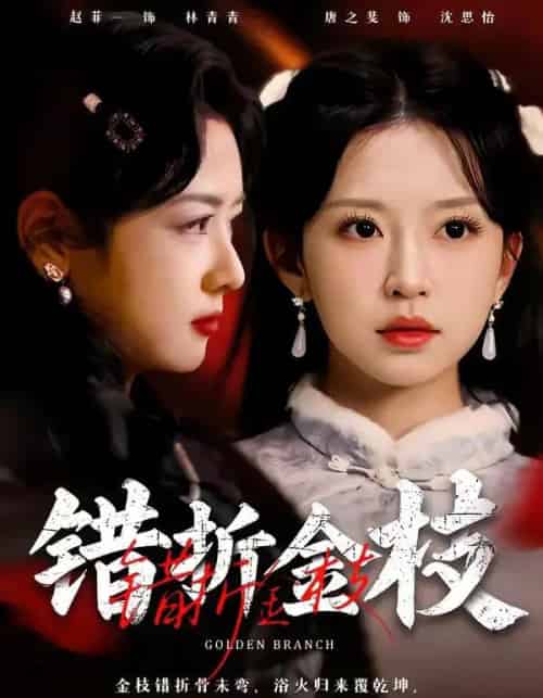 错折金枝(46集全)金泽元&唐之斐-紫橙资源网