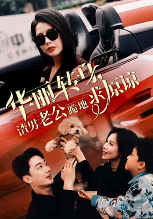 华丽转身渣男老公跪地求原谅（30集全）丁海霞-紫橙资源网