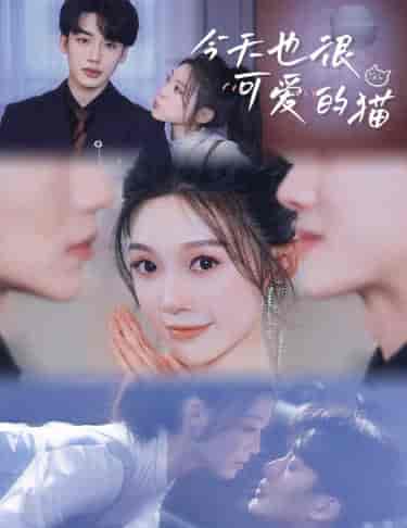 今天也很可爱的猫（72集）-紫橙资源网
