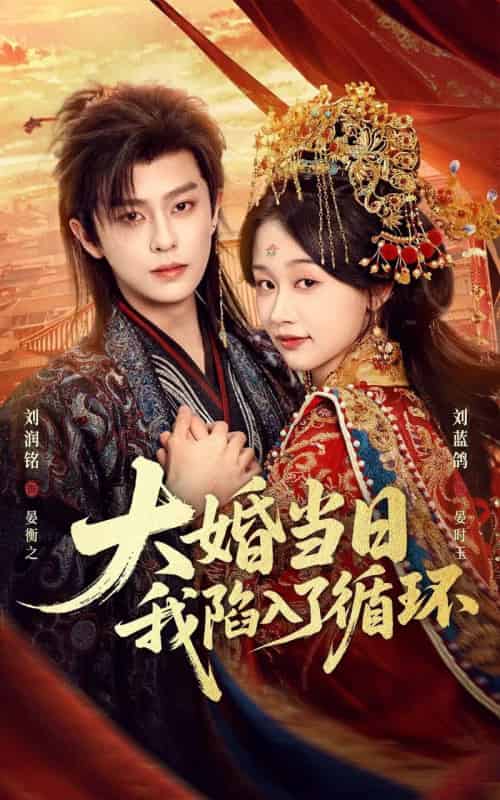 大婚当日,我陷入了循环(67集全)刘润铭&刘蓝鸽-紫橙资源网