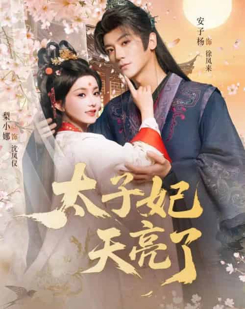 太子妃天亮了（80集全）安子杨＆梨小娜-紫橙资源网