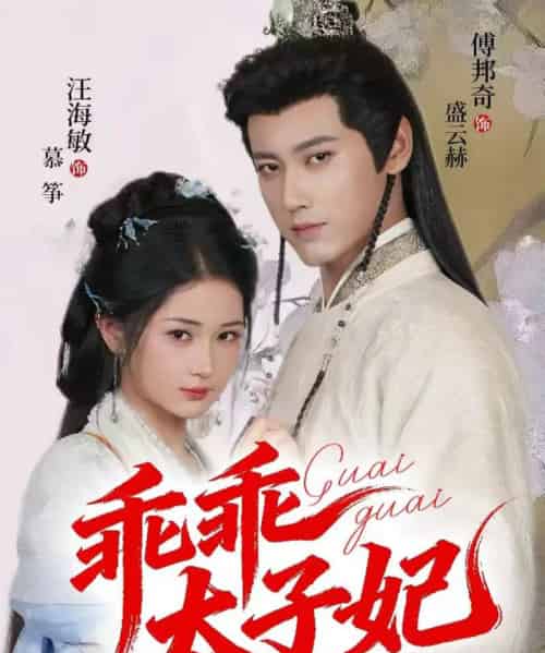 乖乖太子妃(64集全)傅邦奇&汪海敏-紫橙资源网