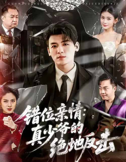 错位亲情：真少爷的绝地反击（70集全）李源＆陈嘉诺-紫橙资源网