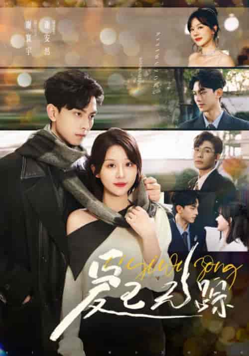 爱已无踪（35集全）陆明非＆谢安然-紫橙资源网