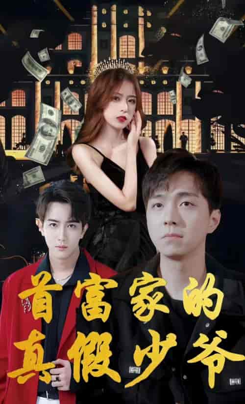 首富家的真假少爷（73集）-紫橙资源网