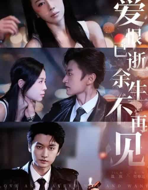 爱恨已逝，余生不再见（68集全）珑一＆丁七七-紫橙资源网