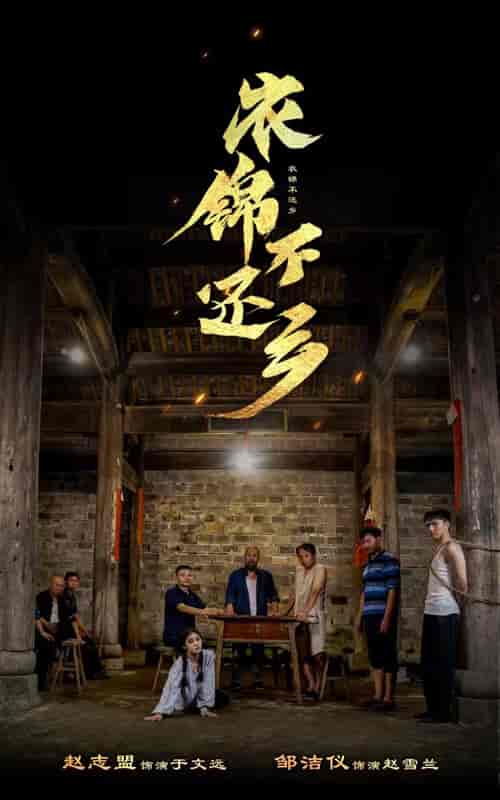 衣锦不还乡（69集）-紫橙资源网