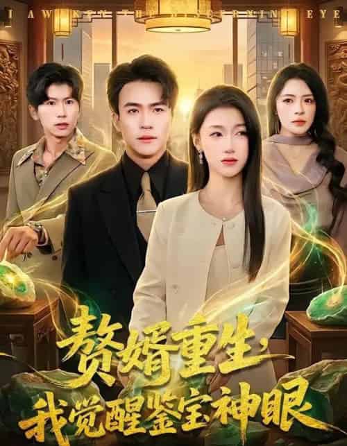 赘婿重生，我觉醒鉴宝神眼（80集全）王熠星＆安玥-紫橙资源网