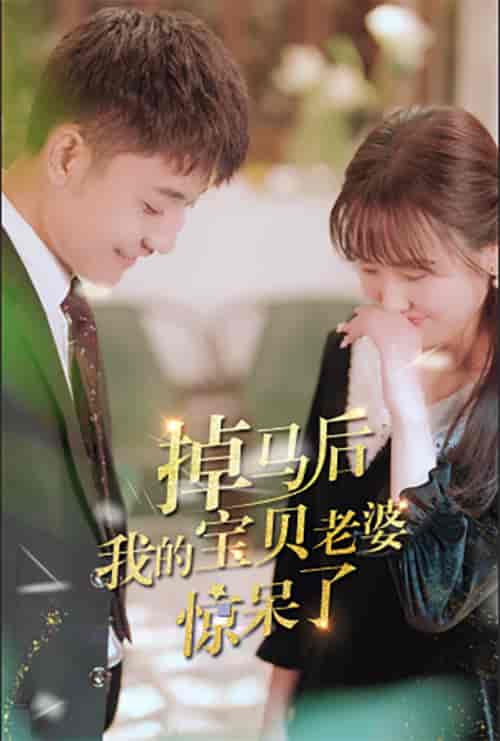 掉马后我的宝贝老婆惊呆了（100集）-紫橙资源网