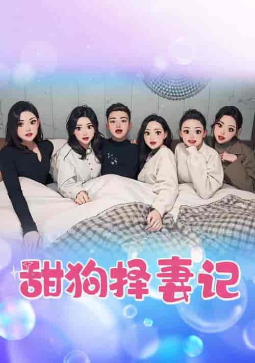 甜狗择妻记（92集） - 紫橙短剧