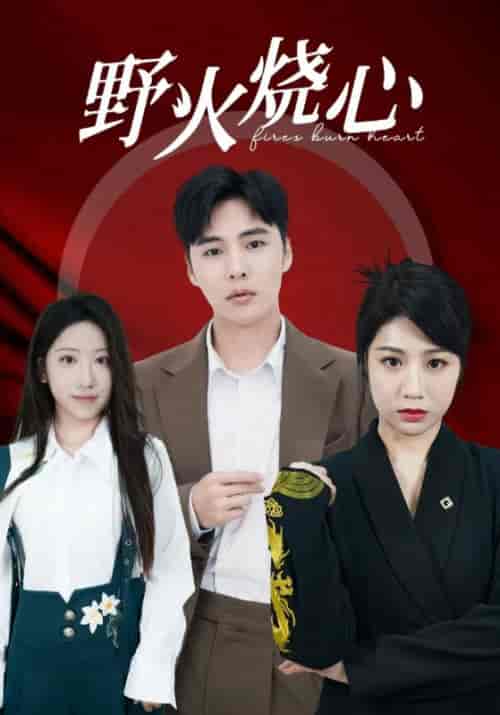 野火烧心（69集全）-紫橙资源网