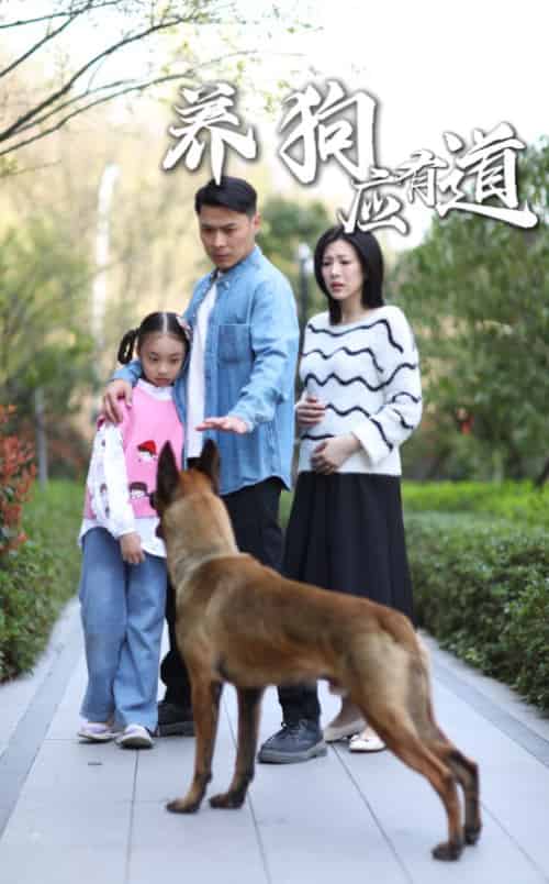 养狗应有道（60集）-紫橙资源网