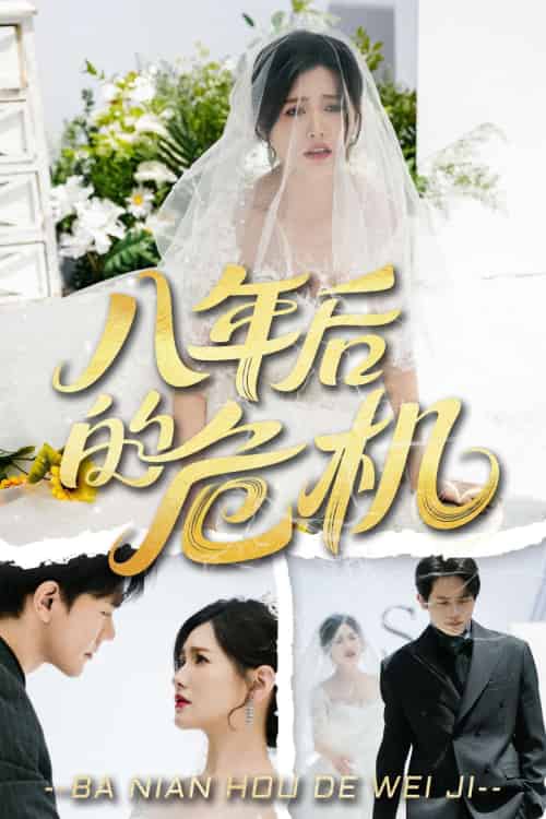 八年后的危机（35集）龙泽鸣＆赵黛楠-紫橙资源网