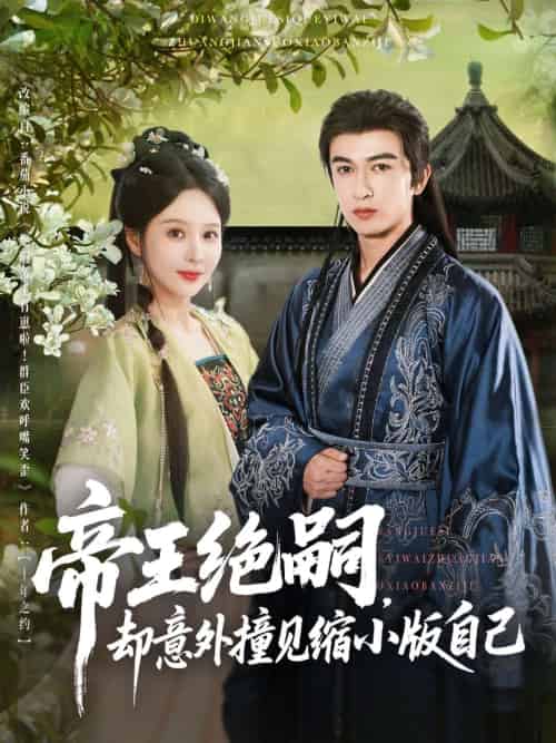 帝王绝嗣却意外撞见缩小版自己(100集)米热-紫橙资源网