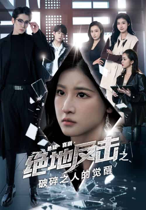 绝地反击之破碎之人的觉醒（30集）王如玮＆林枫松-紫橙资源网