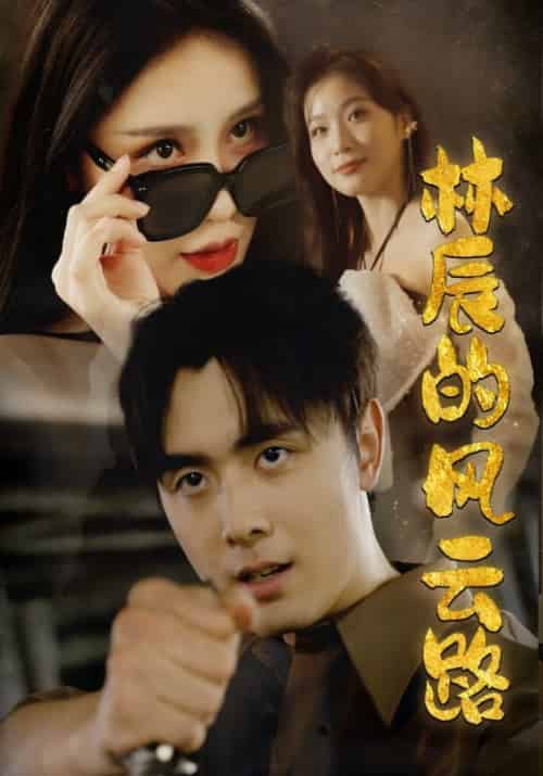 林辰的风云路（79集全）林辰＆舒梦月-紫橙资源网