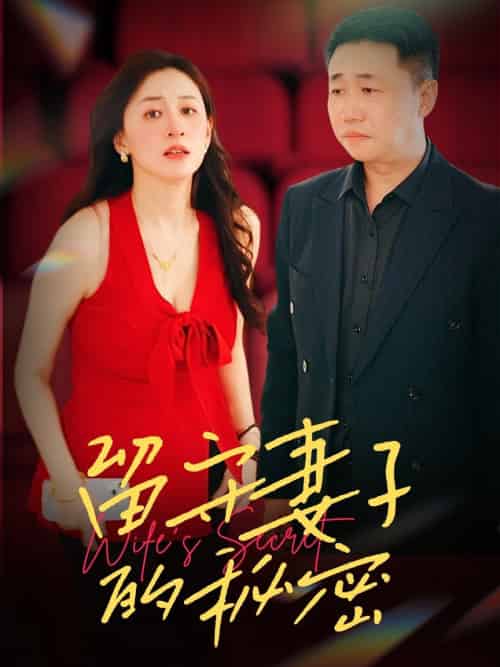 留守妻子的秘密（28集全） - 紫橙短剧