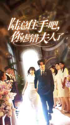 陆总住手吧，你虐错夫人了（80集）-紫橙资源网