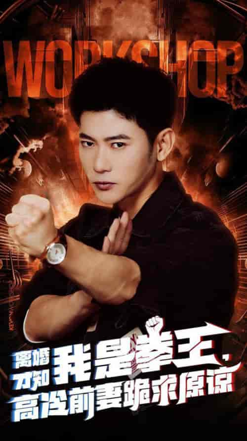 离婚才知我是拳王，高冷前妻跪求原谅（60集全）-紫橙资源网