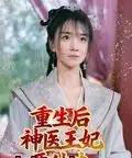 重生后神医王妃要休夫（86集全）宋恺-紫橙资源网