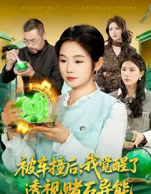 被车撞后，我觉醒了透视赌石异能了（83集全）攸灵＆大飞-紫橙资源网