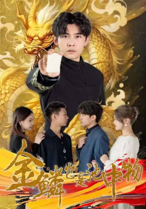 金鳞岂是池中物（100集全）齐轩＆潘悦然-紫橙资源网