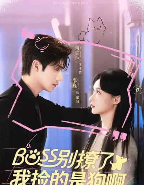 Boss别撩了，我捡的是狗呀（65集全）邵魏＆何宣林-紫橙资源网