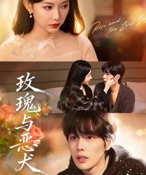 玫瑰与恶犬（80集全）马义炎＆盛晨-紫橙资源网