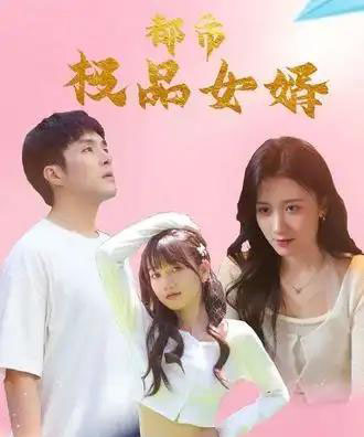 都市极品女婿＆都市逍遥女婿（96集全）-紫橙资源网