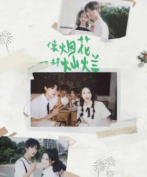 像烟花一样灿烂(60集全)王译磊&张翅&李柯以&余茵-紫橙资源网