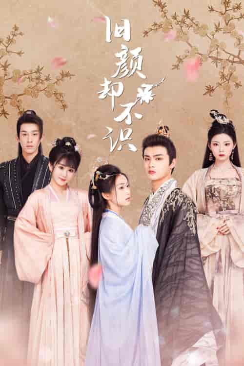 旧颜却不识＆曲终人亦散（77集）-紫橙资源网