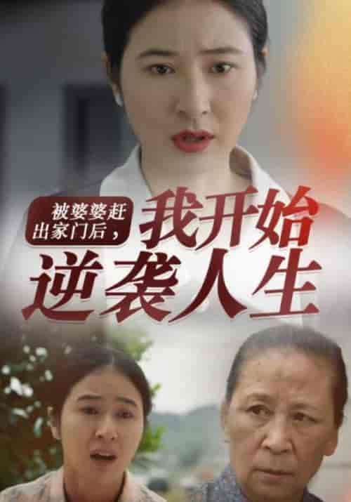 被婆婆赶出家门后，我开始逆袭人生（83集全）刘建国＆陈慧娟-紫橙资源网
