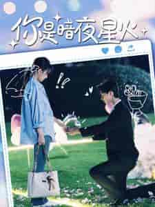 你是暗夜星火（120集）-紫橙资源网