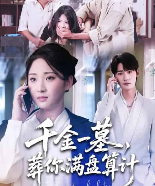 千金一墓，葬你满盘算计（30集全）高铭远＆方雪婷-紫橙资源网