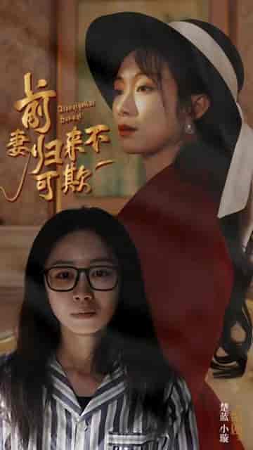 前妻归来不可欺（95集）-紫橙资源网