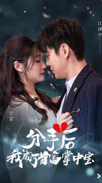 分手后我成了首富掌中宝（67集）-紫橙资源网