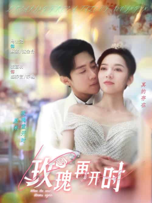 玫瑰再开时(59集)马士尧&张意枂-紫橙资源网