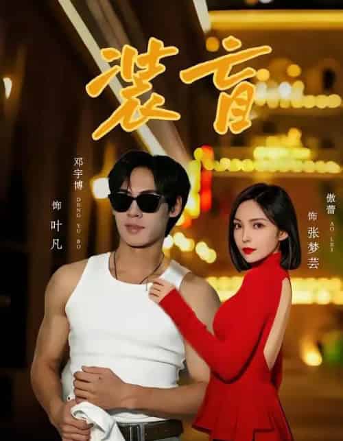 装盲(80集全)邓宇博&傲蕾-紫橙资源网