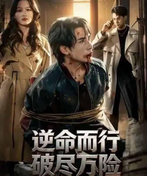 逆命而行破尽万险（83集全）蓝晚星-紫橙资源网