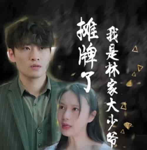 摊牌了，我是林家大少爷（新：医仙神婿）（102集）-紫橙资源网