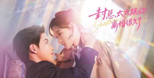 封总，太太跟你离婚很久了（70集全）徐凯鑫＆李羽桐-紫橙资源网