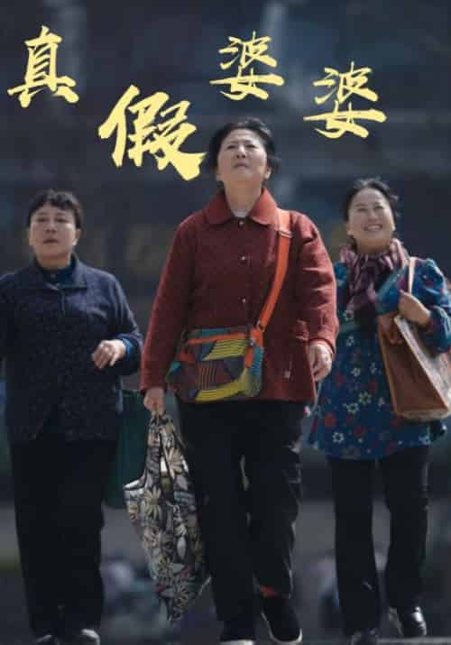 真假婆婆（61集全）陈大宝＆苏晴鱼-紫橙资源网