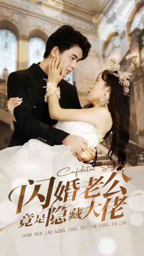 闪婚老公竟是隐藏大佬（99集）-紫橙资源网