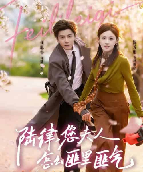 陆律，您夫人怎么匪里匪气（60集全）何聪容＆陈芳彤-紫橙资源网